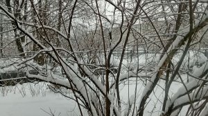 Зима в спальном районе