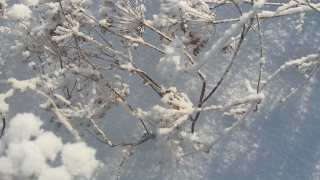 .🎼.«The Nutcracker Suite (Full Continuous Suite)- Tchaikovsky Pyotr Ilyich смотреть онлайн