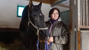 Ахалтекинские лошади в Казахстане: как в Алматы разводят редкую породу скакунов