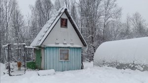 Как выглядит наш огород сейчас .