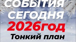 Сценарий серых в действии. Воспоминания 2022 #2025