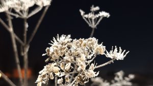 после бани в снег