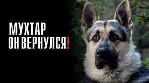 Мухтар. Он вернулся (2026) 1,2,3,4,5,6,7,8,9,10,11,12,13,14,15,16,17,18,19,20 серия обзор