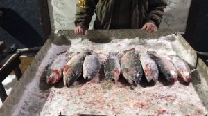 улов форели у Андрея