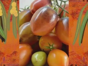 Каталог томатов на 2026 год. Новинки 2025 года. Часть 8. г. Киров. т. 89229284031