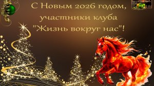 С НОВЫМ 2026 ГОДОМ ЖВН