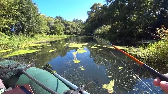 ЛОВЛЯ ЩУКИ В ЗАРОСЛЯХ КУВШИНОК! ТУТ НЕТ ЛЮДЕЙ, ПРИРОДА КАК В СКАЗКЕ! Рыбалка. смотреть онлайн