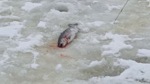 VID_20260104_100930_028