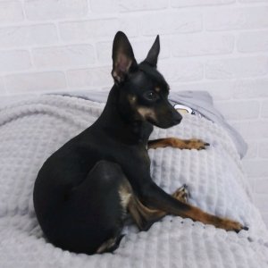 ребята заходите ко мне на эфир! ребята пожалуйста подпишитесь на мой канал! ❤