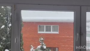 04-01-2026 НОВОГОДНИЕ ЩИ🧑🏻🍳🎄❄️⛄️🎁/КАПУСТА РУЛИТ🥬🥦🌶️🥕🧅/жизнь здесь и сейчас ❤️❤️❤️