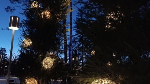 Красиво украшенные ёлочки в Комсомольском парке🎄Кисловодск 2026!