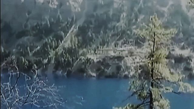 Звук природы. Пение длинноклювой кустарниковой камышевки в предгорье смотреть онлайн