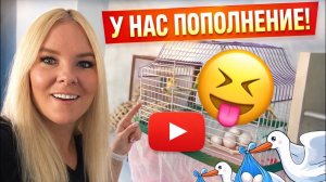 🔥 У НАС СНОВА ПОПОЛНЕНИЕ!