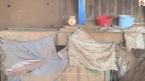 Технологии, изготовление пеллет из опилок