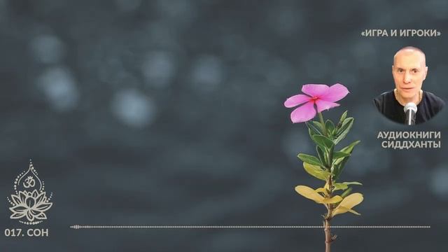 Игра и Игроки. 017. Сон. Аудиокниги Сиддханты (Вячеслава Чернина)