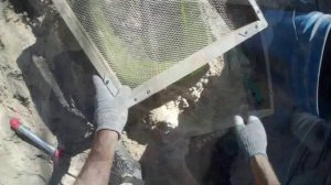 325    26 сентября 2021 года за 10 минут.