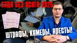 Что грозит за езду без ОСАГО в 2026 году?