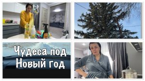 ВЫИГРАЛИ в ЛОТЕРЕЮ__проведали НАШ ДОМИК