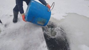 Второе зарыбление!