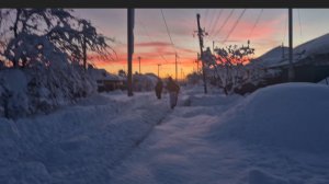 ЯНВАРЬ ПОШЁЛ...МЫ СЛЕДОМ 🤣🥰ВСЁ ПОЗНАЁТСЯ В СРАВНЕНИИ