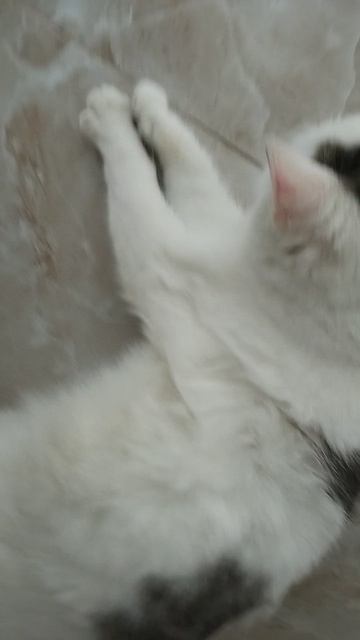 Участковый или на 5 часов уехала смотреть онлайн