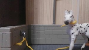 Один день глазами жирибёнка