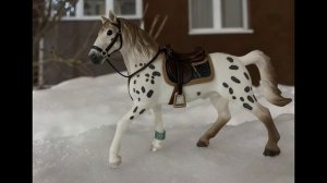 мини фотосест