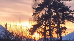 я играю в мир танков