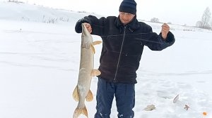 зимняя рыбалка на жерлицы 2026г
