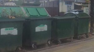 Из Сочи вывезли рекордные объемы мусора