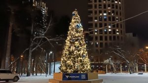 Новый год 2026 Ёлки, городки и украшения города Екатерибурга Часть 6 Дома культуры и парки.