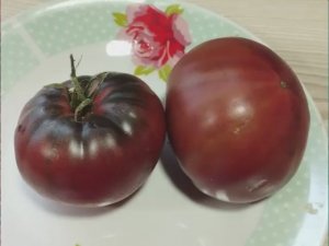 Каталог томатов на 2026 год. Новинки 2025 года. Часть 3. г. Киров.  т. 89229284031