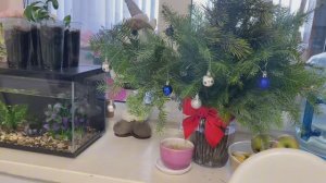 СЪЕЗДИЛА К ДЕТЯМ / РАСТЁМ💥/ ПЛОХИЕ НОВОСТИ