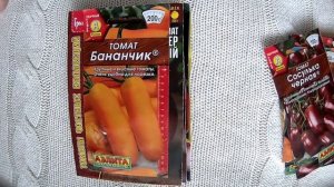 Разбираю семена томатов Часть 2