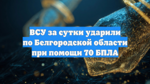 ВСУ за сутки ударили по Белгородской области при помощи 70 БПЛА