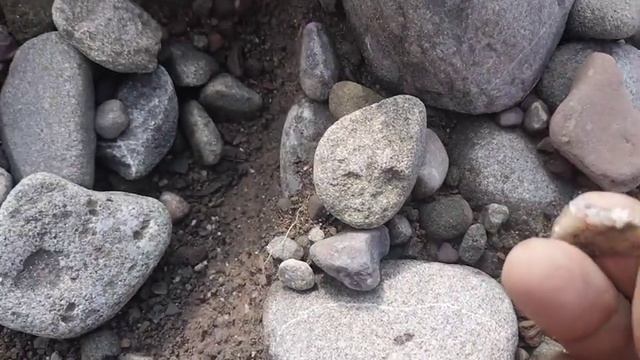 В поиске золотых самородков 😲😲😲 смотреть онлайн