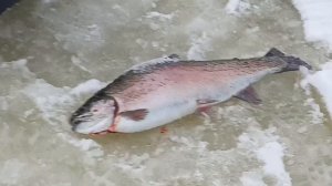 VID_20260104_100933_673