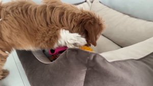 Марк решает неожиданные проблемы со своими игрушечными машинками