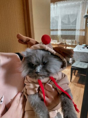 мотивация к действию