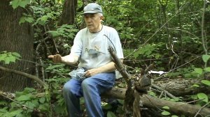 конец августа .приручение молодых птиц