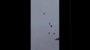 ТГ Регулярного Василия И