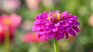 КРАСИВАЯ МУЗЫКА ДЛЯ ДУШИ. БЫСТРОЕ И ГЛУБОКОЕ ЗАСЫПАНИЕ ЗА 5 МИНУТ