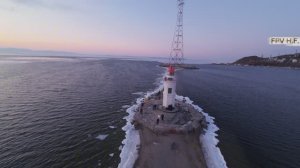 Токаревская кошка. Владивосток. 01.2026.