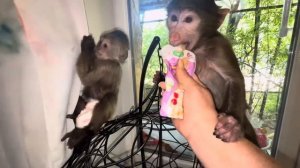 Мы собираемся к Люсе, а Финик с Анфисой не отпускают ни нас, ни Алину, они так рады ее видеть))