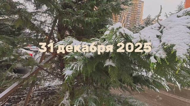 Йорк Бося Краснодар Губернский,Восточный