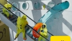 эскалатор в пустотах закулисья