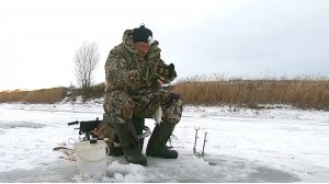 Повезло на рыбалке со льда, карась ловился активно.