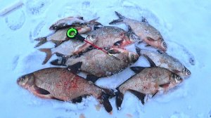 Ловля ЛЕЩА в январе ! Зимняя рыбалка! Эхолот Практик 6М !