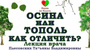 ОСИНА или ТОПОЛЬ -||- КАК НЕ ПЕРЕПУТАТЬ! -||- КАК ОТЛИЧИТЬ ОСИНУ от ТОПОЛЯ В ЛЕСУ? - Плесовских Т.В.