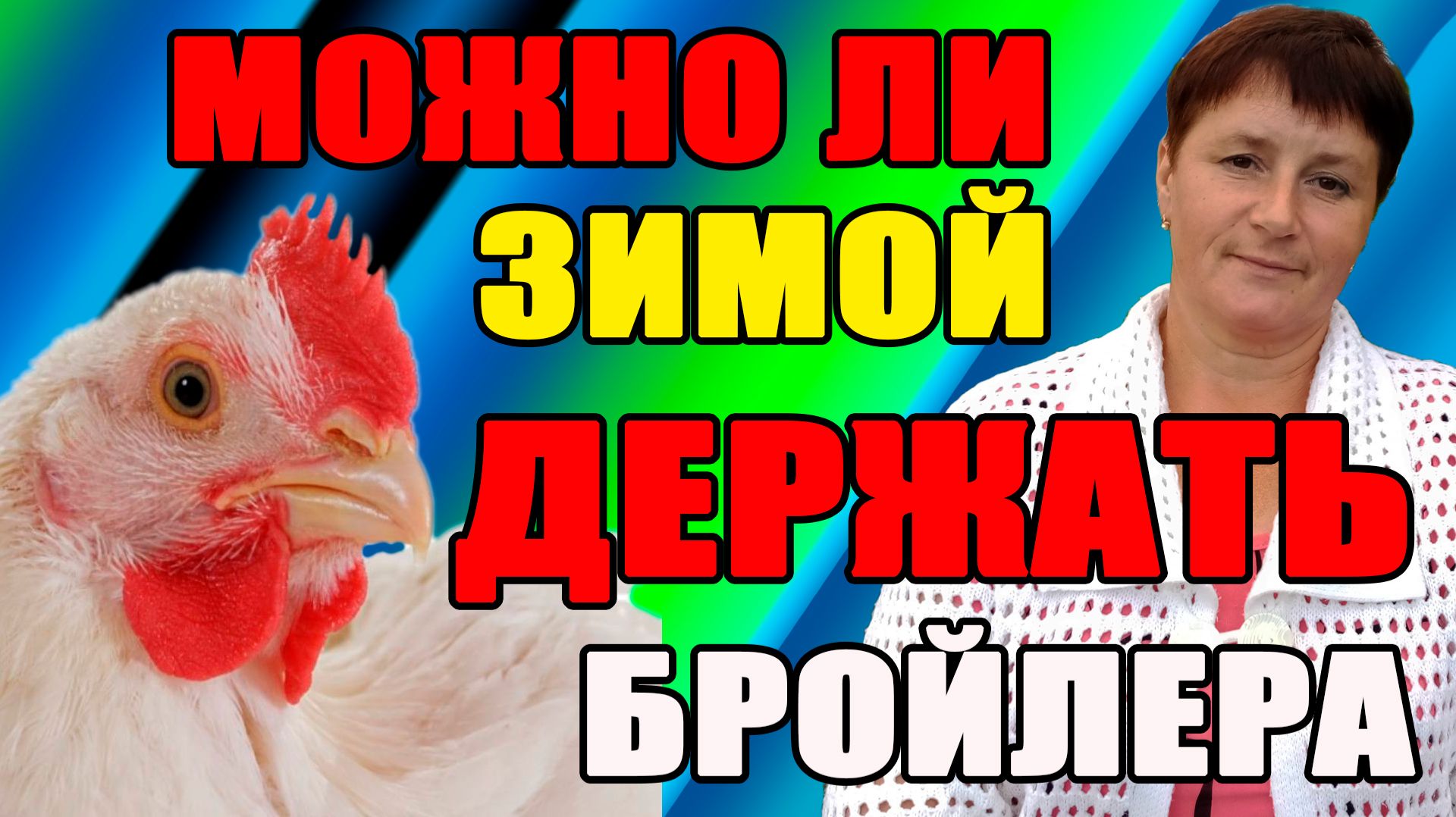 Можно ли ЗИМОЙ держать БРОЙЛЕРА? смотреть онлайн